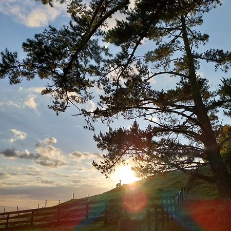Waihi Gold Alpacas 3 Or 4 People Hotel Exterior foto