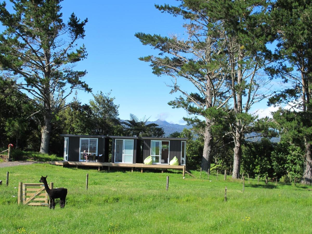 Waihi Gold Alpacas 3 Or 4 People Hotel Exterior foto