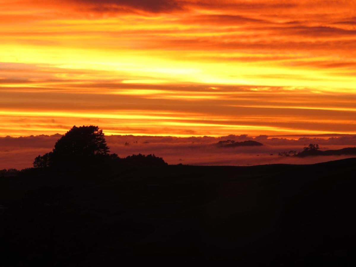 Waihi Gold Alpacas 3 Or 4 People Hotel Exterior foto